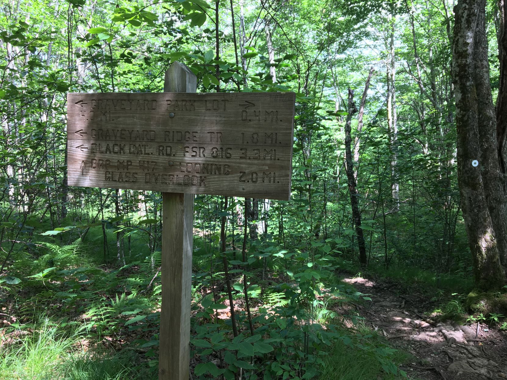 Directional Sign